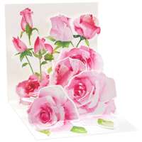 Die Werkstatt GmbH Popshots képeslap, mini, rózsaszín rózsák, Pink roses