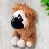 Patty's Mopsz kutya, oroszlán jelmezben