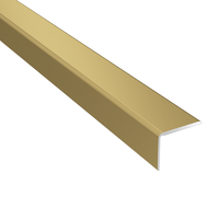 ARBITON Lépcsővédő profil CS2 A2 arany 1,2 m