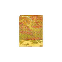 CREATIVE Dísztasak CREATIVE Special hologram M 18x23x10 cm egyszínű arany sodort füles