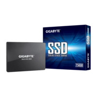 Gigabyte 256 GB SSD (2,5", SATA3)