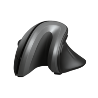 Trust Verro Ergonomic Wireless Mouse (USB)