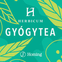 Herbicum Izlandi zuzmó 50g