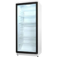 Snaigé Snaigé CD29DM-S302 üvegajtós hűtőszekrény, 290 l, 145x60x60cm, Hőmérséklettartomány: -2 - +14 °C, Acél külső, Automata leolvasztás, LED, Dinamikus hűtési rendszer
