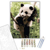 Creative Land Kft Panda szieszta - számfestő készlet – 40×50 cm (Keretre feszítve)