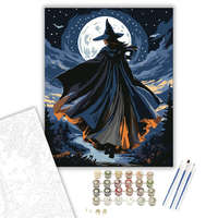 Creative Land Kft Boszorkány a Holdfény Árnyékában - számfestő készlet