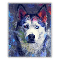 Számfestő Husky kutya - számfestő készlet