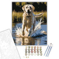 Creative Land Kft Labrador Retriever a Tóban - számfestő készlet