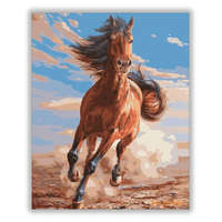 Számfestő Vágtató barna ló - számfestő készlet