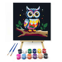 Creative Land Kft Éjszakai bagoly - gyerek számfestő készlet