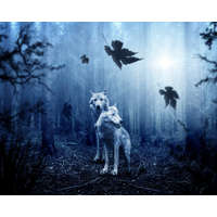 Számfestő Sötét erdő farkasai - vászonkép