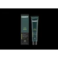 Dandy Hair Color férfi hajszínező 4 60ml