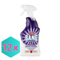 Cillit Bang fertőtlenítő és penészölő spray 750ml KARTON - 12 db