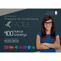 Maxim Kiadó Pratique de vocabulaire Facile - 400 francia szókártya /Haladó szinten