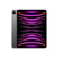 Apple Apple iPad Pro (2022) 12,9" 256GB Wi-Fi Space Gray
