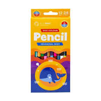 Bluering Színes ceruza készlet, kétvégű duocolor 12/24 szín Bluering® 24 klf. szín