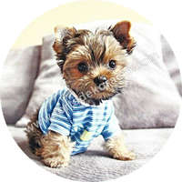 Dekorációs ostya - Yorkshire Terrier kölyök