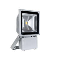 Elmark Vega LED fényvető, 80 W, 5200 lm, 5500 K