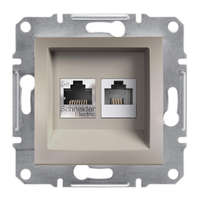 SCHNEIDER SCHNEIDER EPH4900169 ASFORA RJ45 Cat5e UTP + RJ12 aljzat, bronz