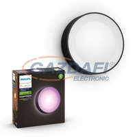 PHILIPS PHILIPS 17465/30/P7 Daylo Hue LED fali lámpa fekete 1x15W 1200lm 25000h LED A-A++ IP44