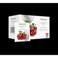 Herbária Gyümölcstea Vadmeggy Filter 20X