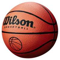 Aktívsport Kosárlabda Wilson NCAA Micro gumi narancs