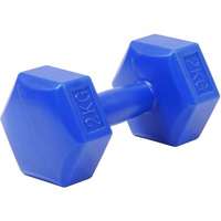 Aktívsport Kézisúlyzó cementes Aktivsport 2 kg kék