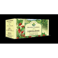 Herbária Csipkebogyo Hus FilterTea 25X