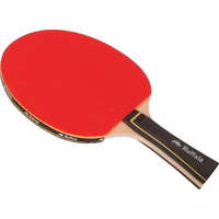 Buffalo Talent ping pong ütő