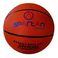 Spartan Florida kosárlabda 5 méretű