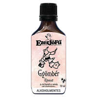 EzerJóFű EzerJóFű Gyömbér kivonat 50ml alkoholmentes, növényi glicerinnel