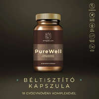 Myrobalan Myrobalan PureWell béltisztító 60 kapszula