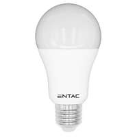 ENTAC LED Globe E27 12W CW 6400K Entac