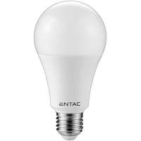 ENTAC LED Globe E27 18W CW 6400K Entac