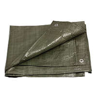 Festa Standard takaróponyva 4 m2 (2 x 2 m) 70 g/m2 zöld