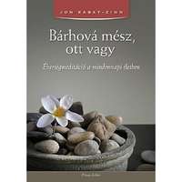 Ursus Libris Jon Kabat-Zinn - Bárhová mész, ott vagy