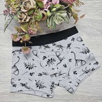 Aura Via Fiú boxer dínós Világos szürke, 2-3 év