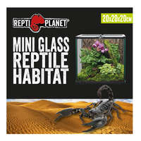 Repti Planet Repti Planet Mini Glass Reptile Habitat | Paludárium - 20 x 20 x 20 cm