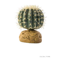 Exo Terra Exo Terra Sivatagi Hordó Kaktusz - kicsi