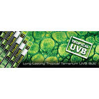 Exo Terra Exo Terra Reptil UVB100 Fénycső - T8 5% (5.0) | 750 mm - 25 W