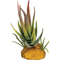 Repto REPTO | PLANT ALOE RED TIP | Műnövény dekoráció, aloe piros - 6x6x12 cm