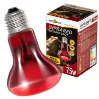 Repti Zoo Repti Zoo Infrared Basking Spot | Infravörös hősugárzó izzó - 75W