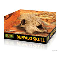 Exo Terra Exo terra Buffalo Skull | Bölény koponya - nagy
