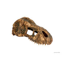 Exo Terra Exo terra T-Rex Skull | T-rex koponya - Mini
